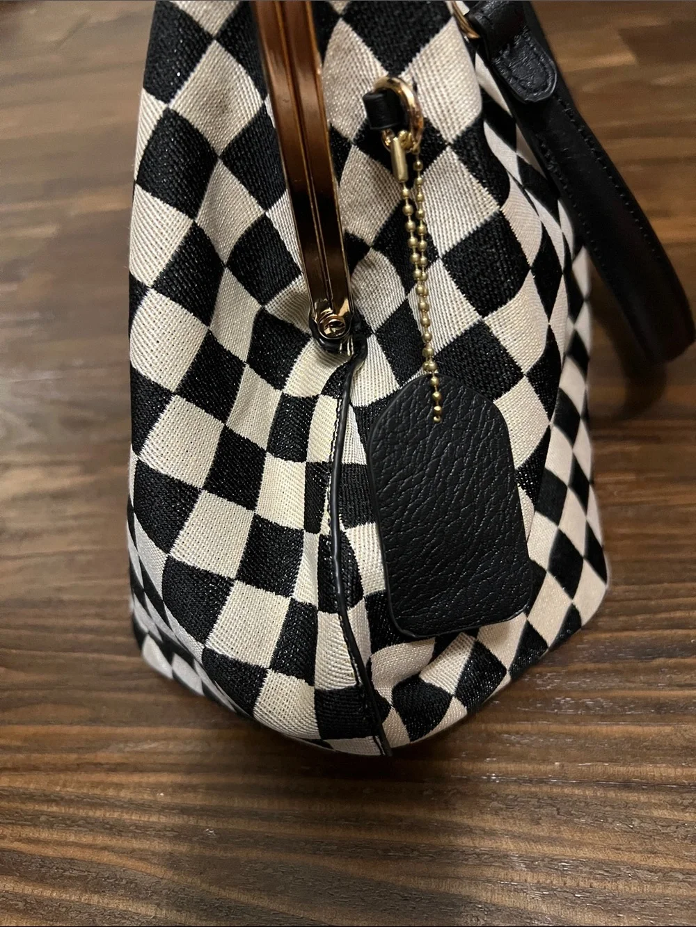 Kisslock Checkered Frame Shoulder Bag